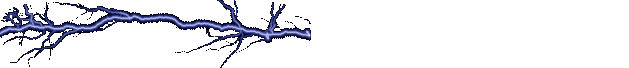 http://www.muc.klack.org/bilder/blitz14.gif